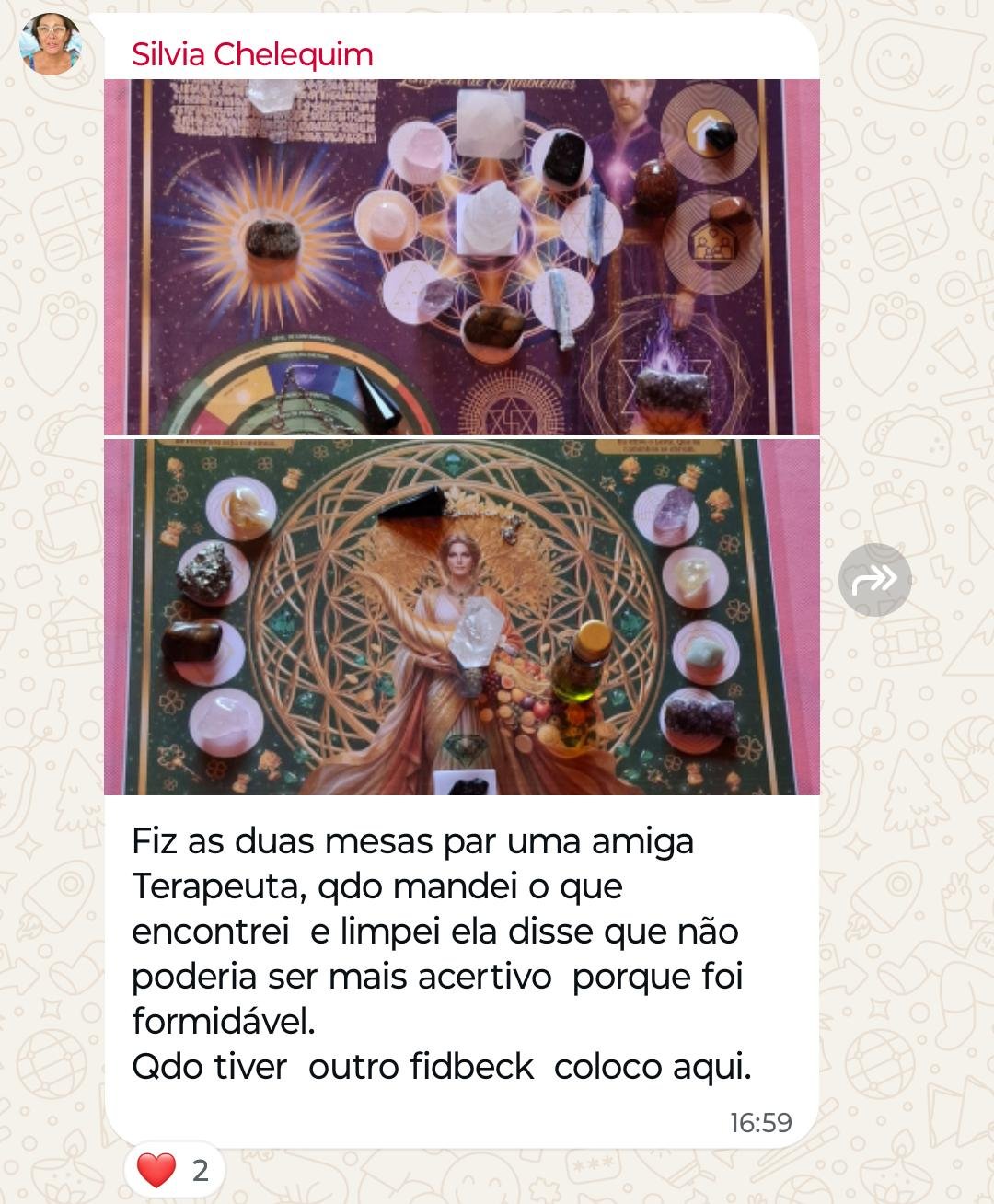 Depoimento Silvia Chelequim